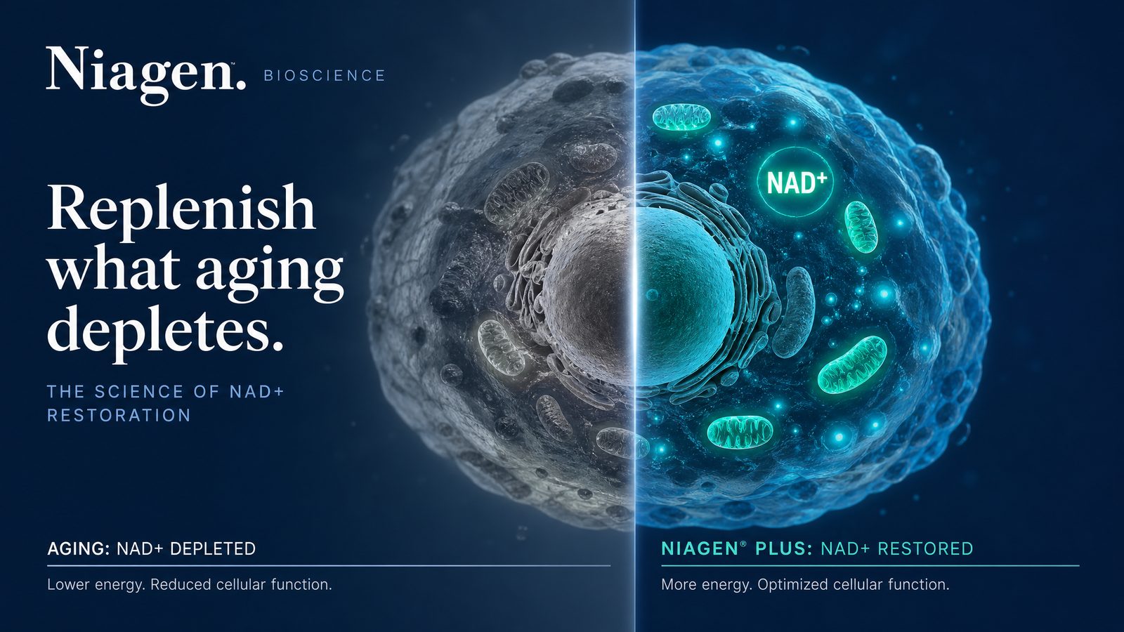 Niagen Bioscience